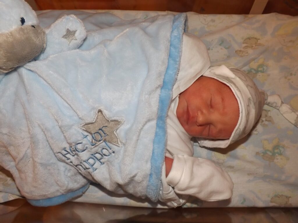 Little bear in the hospital all wrapped up