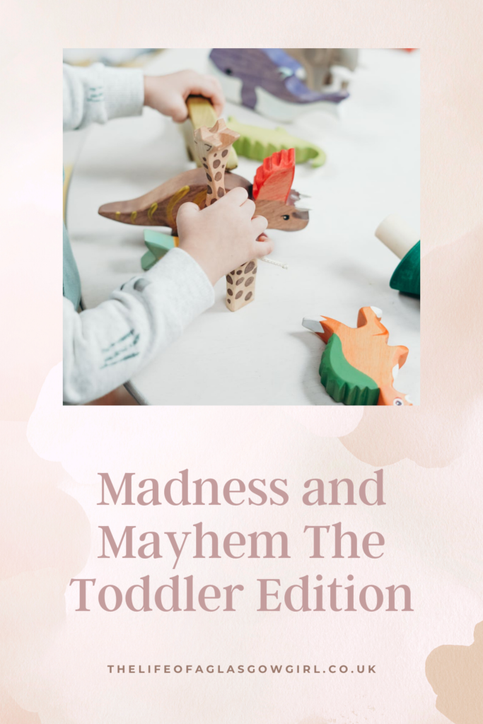 Madness and Mayhem The Toddler Edition pinterest image