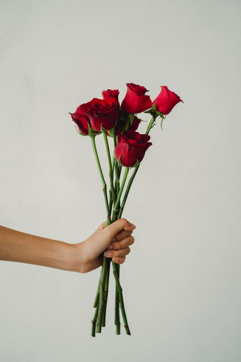 the only love you need this valentines day