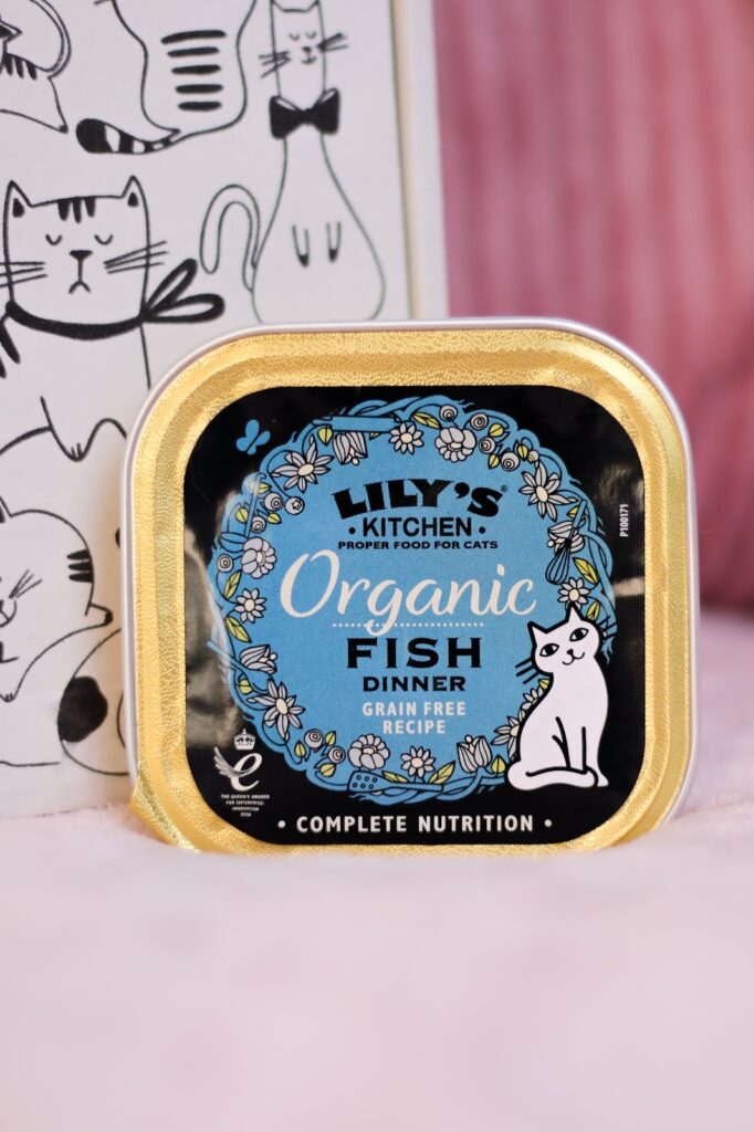 Close up photo of cat food tray