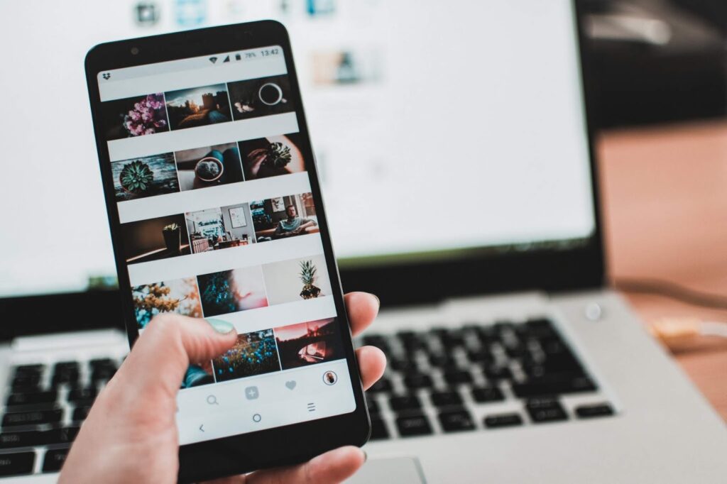 Instagram Tips and Tricks - Stock photo of a phone showing plant photos