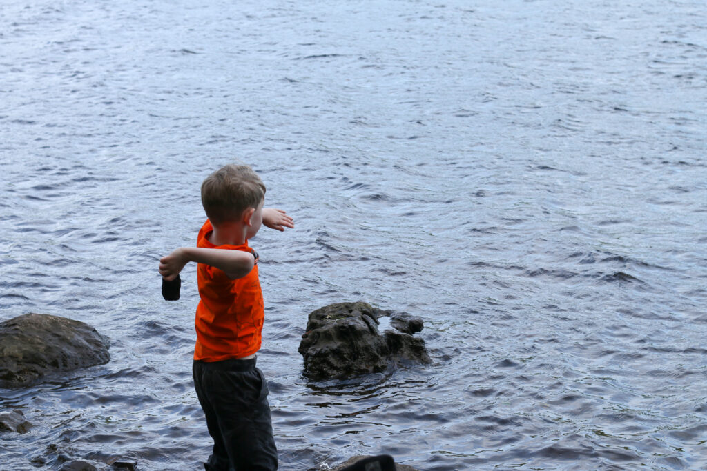 Photo of Little Bear at Loch Tummel in Scotland
