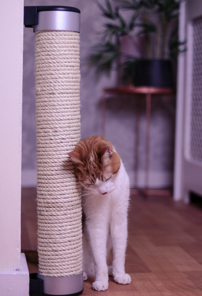 Photo of a ginger and white cat rubbing against the Catipilla Cat scratcher