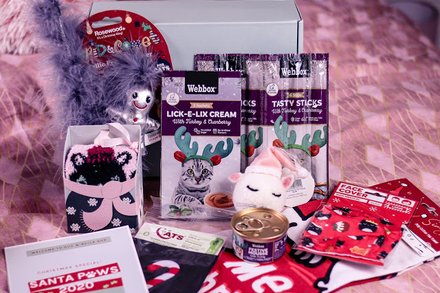 Close up of the contents from the Gus & Bella Santa Paws box