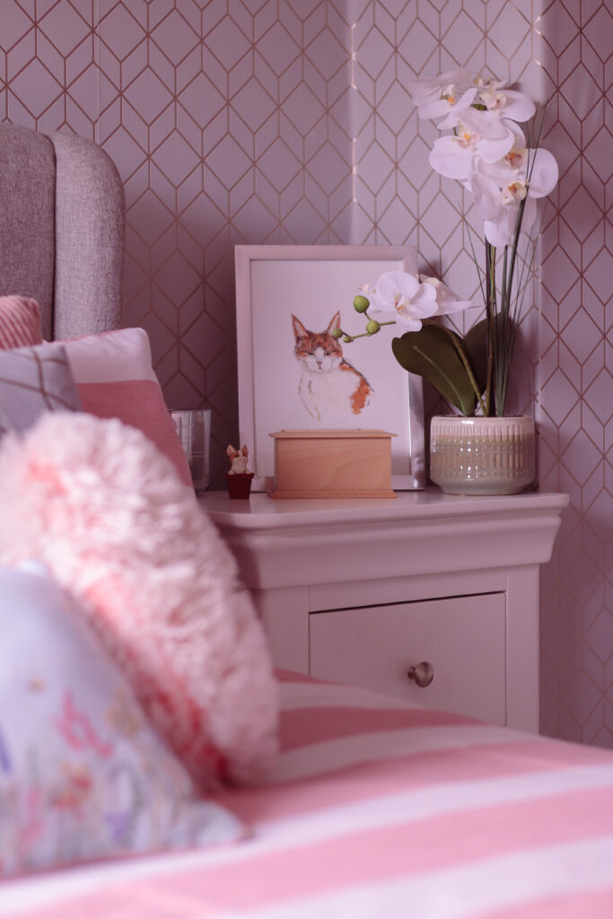 June Roundup - A photo of a white bedside table with a portrait of a ginger and white cat