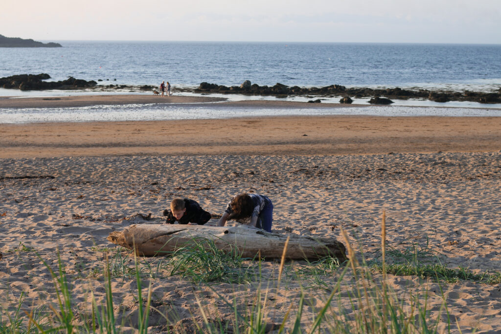 Wild Camping at Yellowcraigs beach in Scotland - The children pushing a big piece of driftwood on the sand
