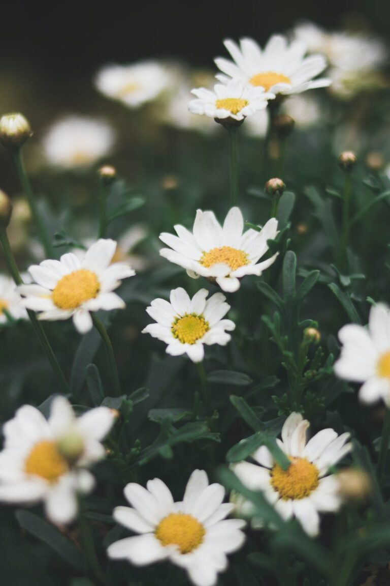 15 Misconceptions People Have about Depression