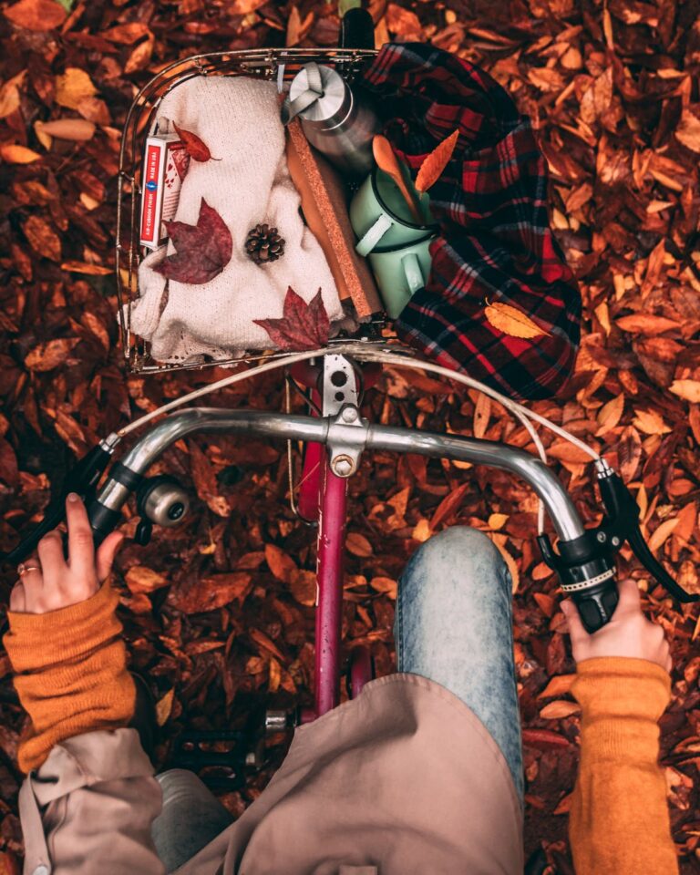 Activities To Add To Your Autumn Bucket List