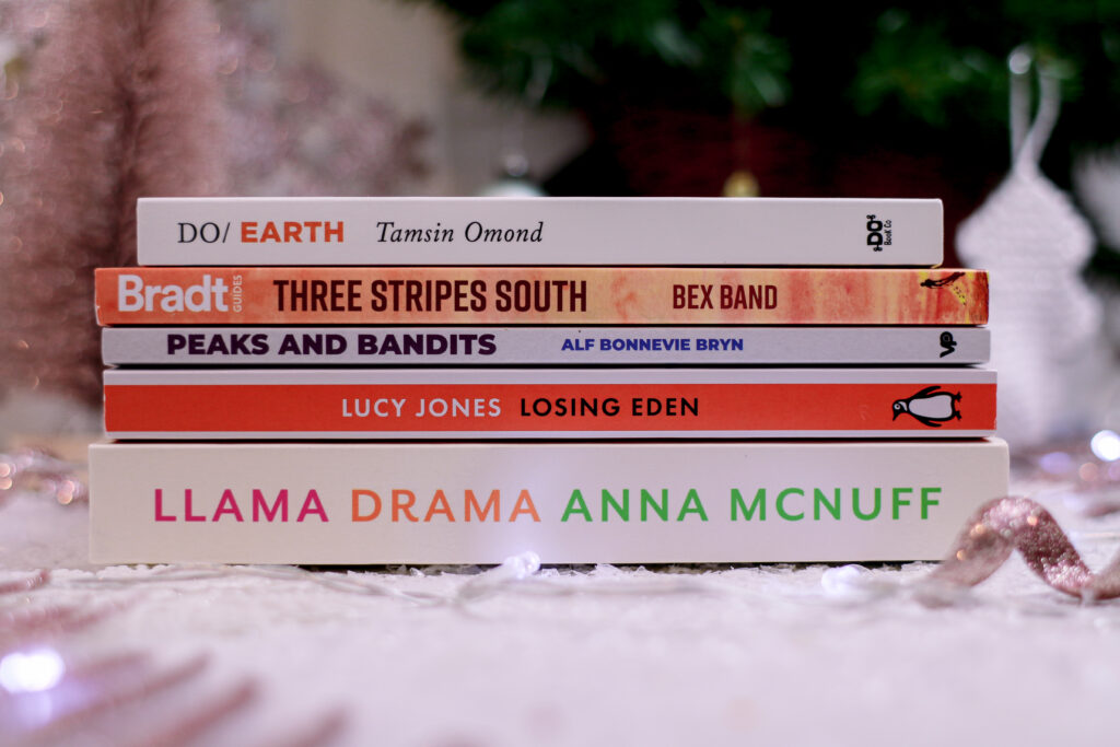 Close up photo of 5 books from Adventurous Ink 