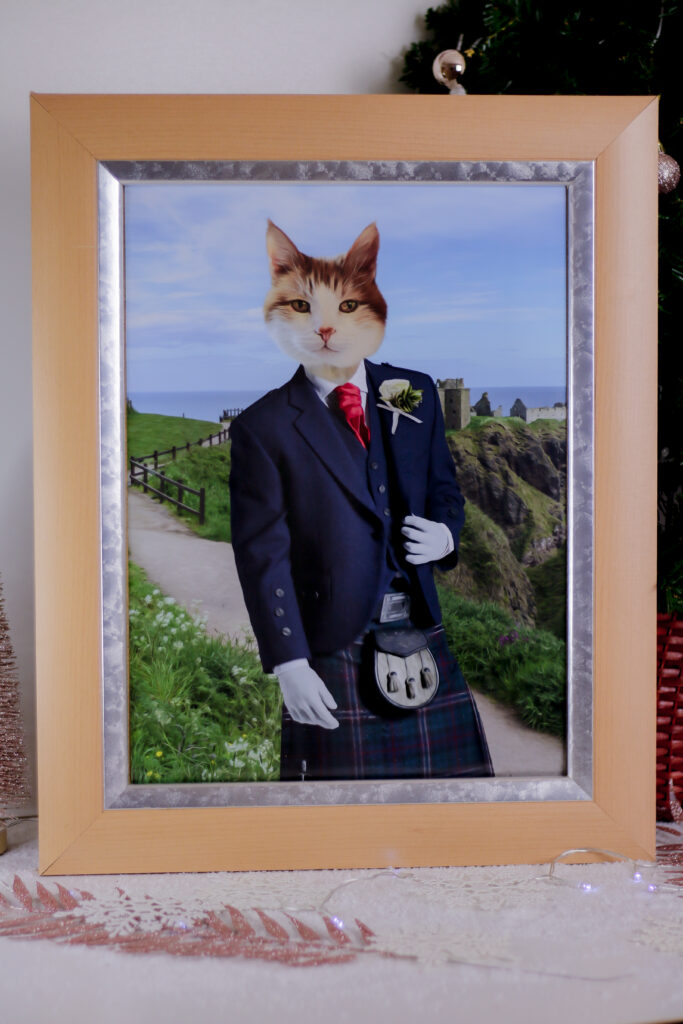 Close up photo of the Paw and Glory portrait of Teddy the cat as a Scottish Gentleman in a light wooden frame
