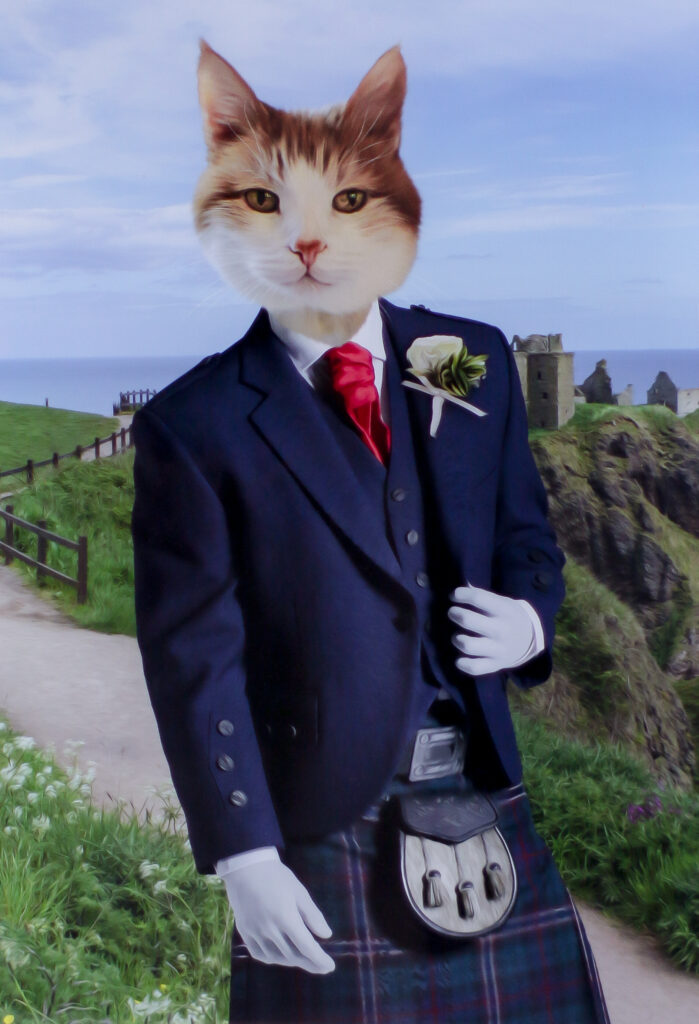 Extreme Close up photo of the Paw and Glory portrait of Teddy the cat as a Scottish Gentleman