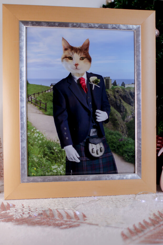 Close up photo of the Paw and Glory portrait of Teddy the cat as a Scottish Gentleman