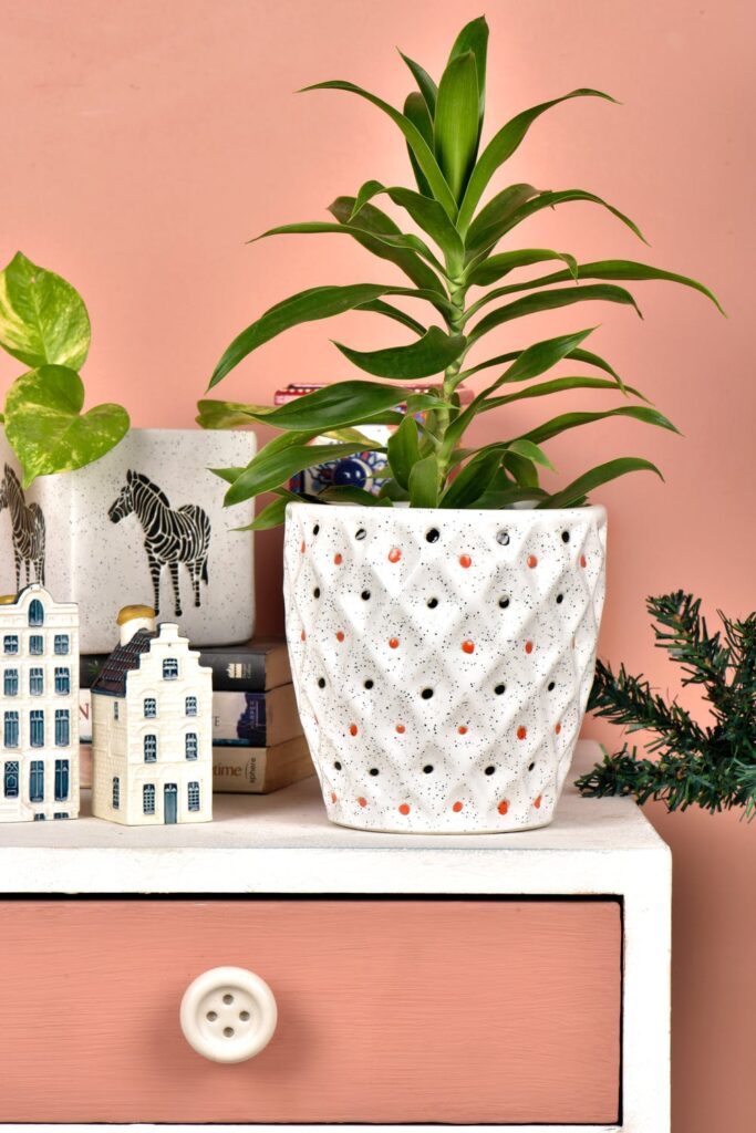 Home DIY Trends - Unique Plant Pots stock photo from pexels by aveen Sahu of a white ceramic plant pot with orange and black dots
