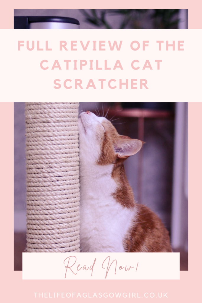 Full Review of the Catipilla Cat Scratcher Pinterest Graphic