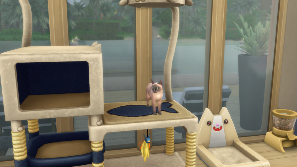 Screen grab of a cat in the sims 4