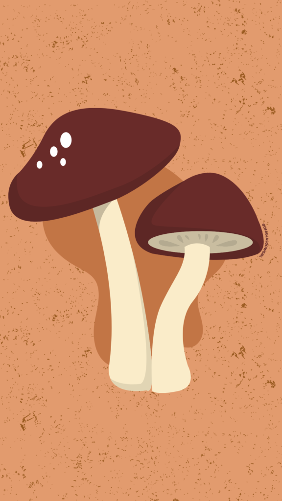 Free Autumn Phone Background - Graphic with two mushrooms