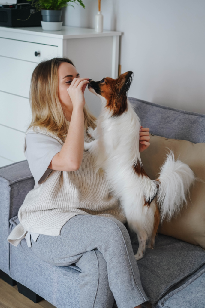 Stock photo from Canva by Olia Danilevich of a woman with shoulder length blonde hair sitting on a blue couch playing with a brown and white dog