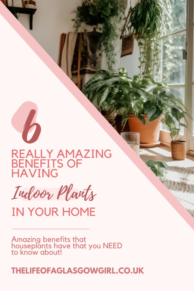 Pinterest Graphic for 6 Really Amazing Benefits of Indoor Plants in Your Home Blog Post on Thelifeofaglasgowgirl.co.uk