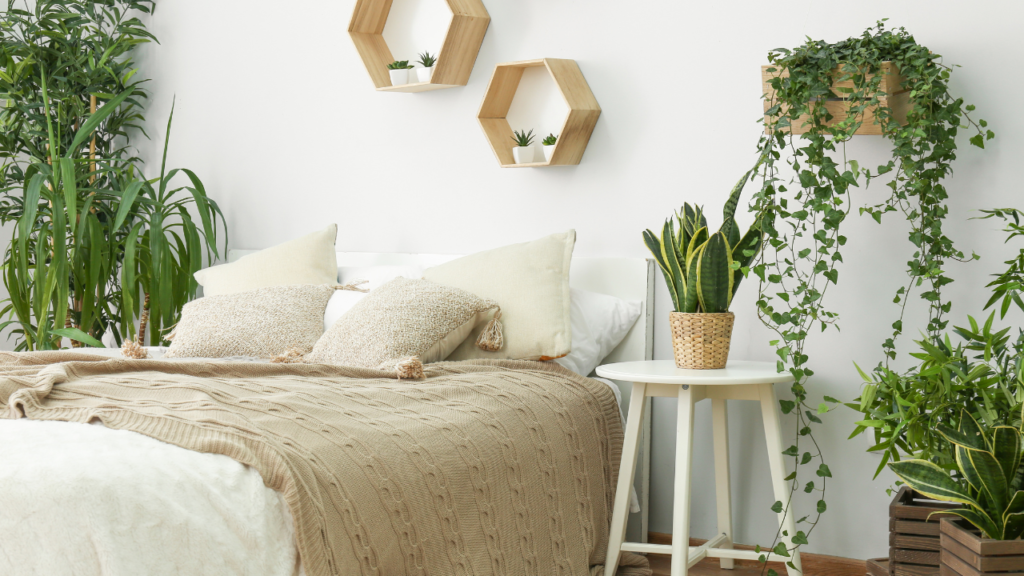 Stock photo from Canva by Pixelshot of a bedroom with white walls, white bed sheets and a white bedside table with lots of different plants on the walls, floor and the table