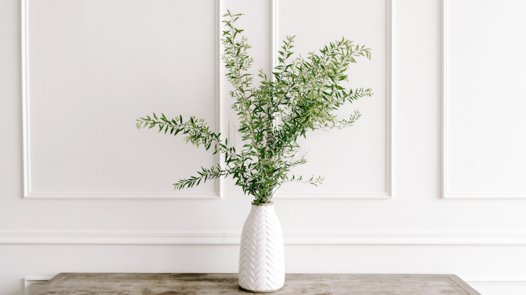 Stock photo from Canva by Jana Bishop Collection of a white vase on a dark wood coffee table