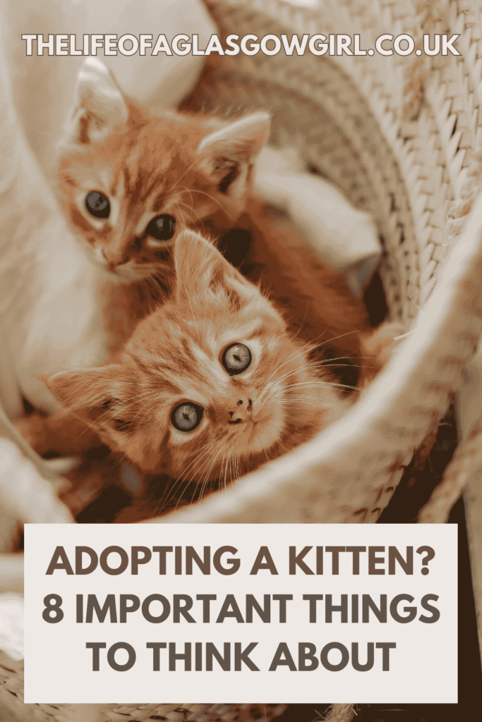Pinterest Graphic for Adopting a Kitten? 8 Important Things to Think About Blog Post on Thelifeofaglasgowgirl.co.uk